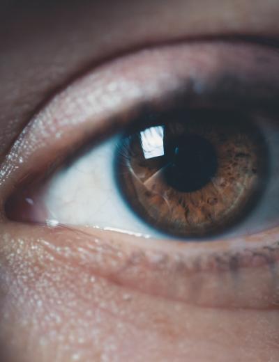 eye-brown